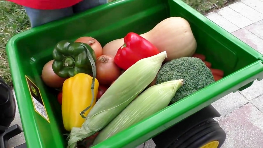 ماجراهای دیانا و روما - داستان های بامزه دیانا و روما